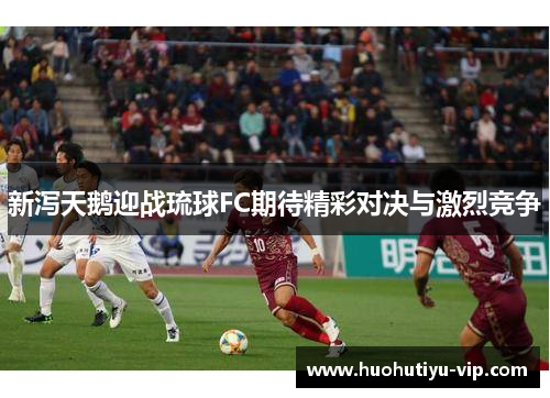 新泻天鹅迎战琉球FC期待精彩对决与激烈竞争